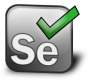 Selenium Training in India