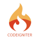 CodeIgniter Training in India
