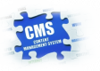 Category for Content Management System (CMS) Training in India