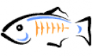 GlassFish Training in India