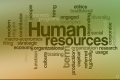Human Resources (HR)