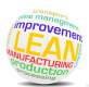 Lean Training in India