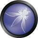 OWASP Training in India