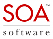 SOA Governance Training in India