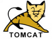 Tomcat Training in India